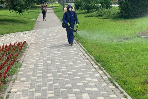 201504219_1201324090325383_9111587429324944318_n