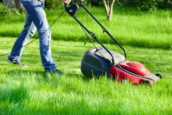 Man moves with lawnmower &  mows green grass