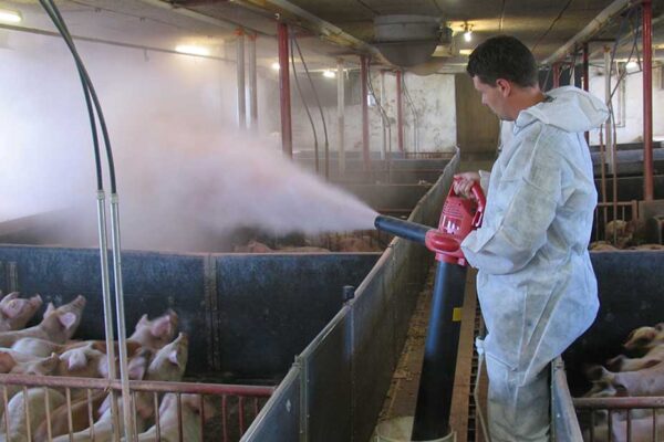 52ff25001b7238a824495d8ae969d992