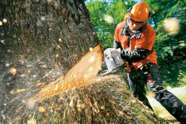 7640884713ef11e7829e002522b3de90_7640886b13ef11e7829e002522b3de90-scaled