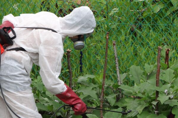 ff7c819a7fca526db7d7fa1ea468047c