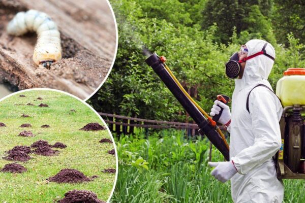 images_cms-image-000047928