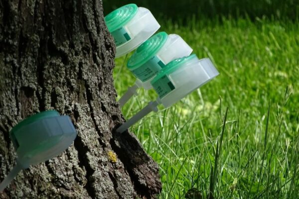 photo_2024-03-16_15-01-07-2